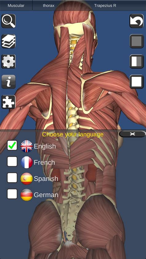 3d Bones And Organs Anatomy For Android Apk Download