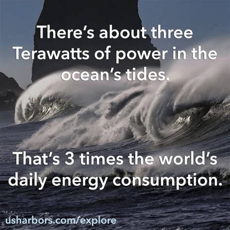 Amazing Facts About The Tide Us Harbors