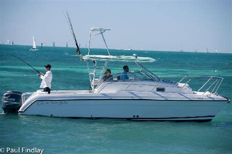 Key West Sea Life Private Charters All You Need To Know Before You Go