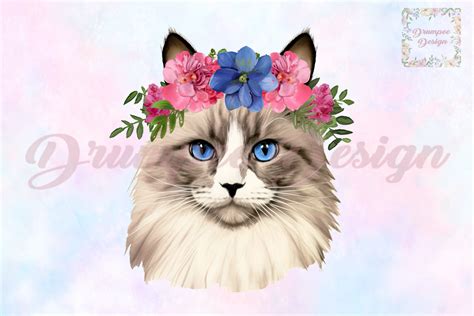 Ragdoll Cat With Flower Crown Watercolor Grafik Von Drumpee Design