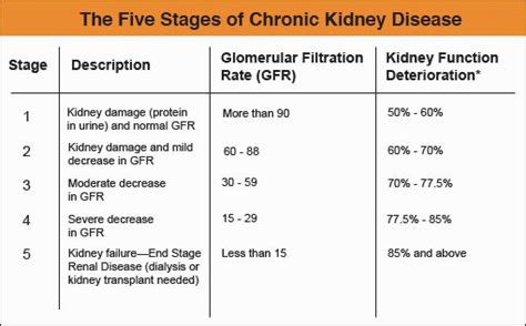 Chronic kidney disease does not develop abruptly rather takes years to hamper kidney function. Cat Kidney Failure Stages - Cat and Dog Lovers