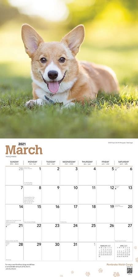 Pembroke Welsh Corgis 2021 Wall Calendar By Browntrout