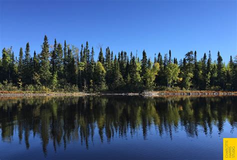 The Canadian Boreal Forests And Waterways Of Northern Ontario