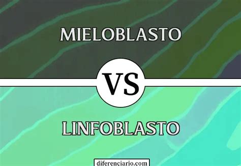 Diferencia Entre Mieloblasto Y Linfoblasto