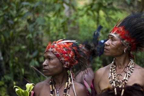 Papua New Guinea Tribeswomen Photograph By Polly Rusyn