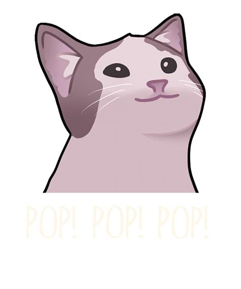 Pop Cat Png Ubicaciondepersonascdmxgobmx