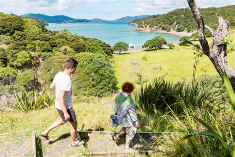 Barefoot Sailing Adventures Bay Of Islands Gallery 10 Must Do New Zealand