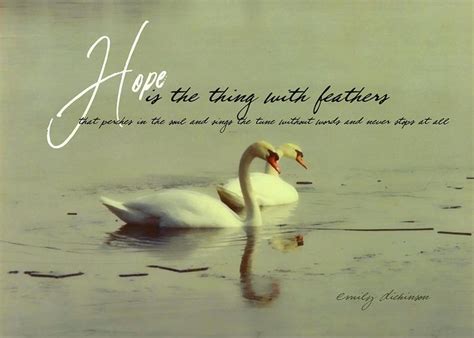 Winter Swans Quote Greeting Card For Sale By Jamart Photography