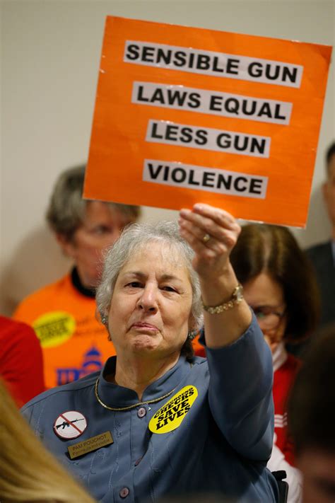 virginia lawmakers reject ban on a5 15 style assault weapons as even the dems side with pro gun