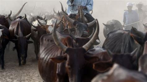 Nigerias Fulani Herdsmen Farmer Conflict Escalates Open Heaven