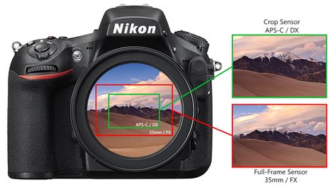 What Is Crop Factor Here Is What You Need To Know