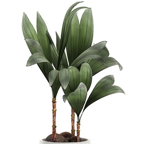 3d Decorative Palm Tree Interior Turbosquid 1604139