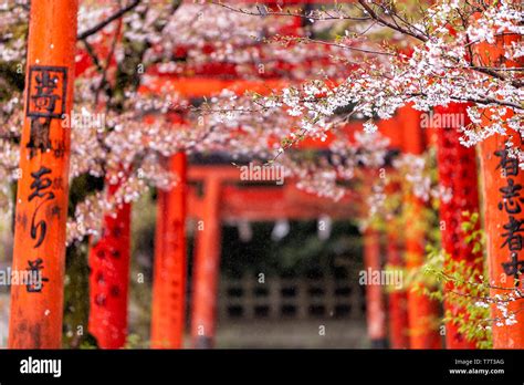 Kyoto Japan April 10 2019 Orange Red Takenaka Inari Jinja Shrine