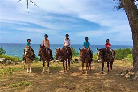 Maui Mountain Activities Horseback Riding