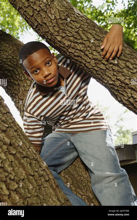 African Boy Climbing Tree Stock Photo Alamy