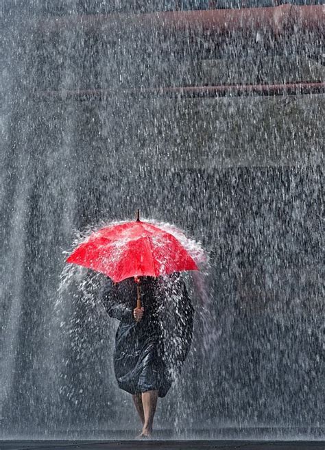 30 Blustery Bad Weather Photos Collection Rainy Day Photography