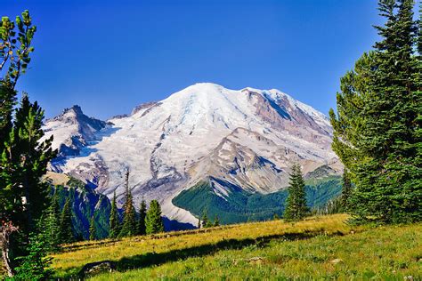 Mt Rainier From Sunrise Photograph By Greg Norrell Pixels