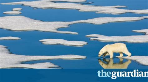 Arctic Ice The Next Big Effect Of Climate Change Climate Change