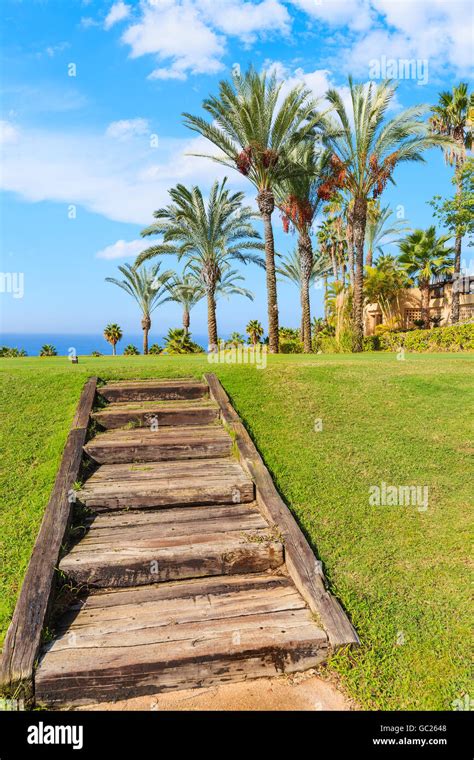 Wooden Steps And Palm Trees In Tropical Landscape Of Tenerife Canary