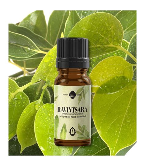 Ravintsara Pure Essential Oil Cinnamomum Camphora
