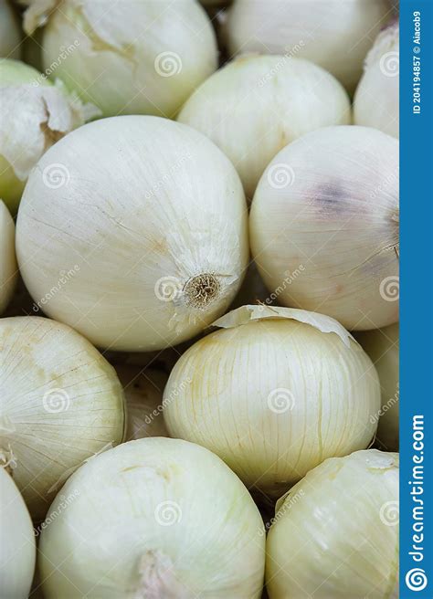 Healthy White Onions Or Allium Cepa In A Pile At The Farmer S Market
