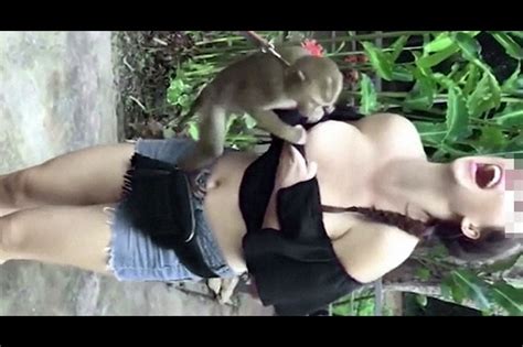 【動画あり】サルにおっぱいポロリさせられて照れる女の子 ポッカキット