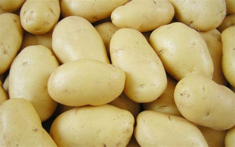 Fresh Kufri Khyati Potato Packaging Size 10 50kg Packaging Type