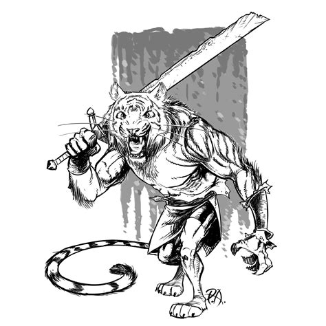Tiger Warrior Drawings