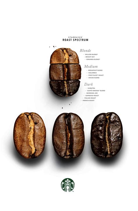 Coffee Beans Types Explained Idalias Salon