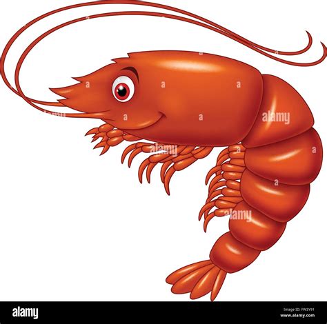 Cartoon Cute Lobster Stock Vector Image And Art Alamy