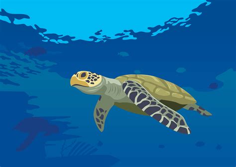 Turtles Green Clipart Tropical Sea Turtle Pictures On