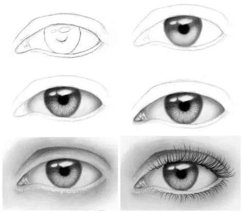 Pin by Diane Hammar on How to draw eyes | Eye drawing tutorials, Eye