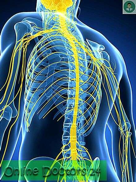 pathologie du nerf vague symptomes diagnostic methodes de traitement maladies  affections