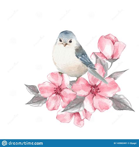 Bird And Flowers Watercolor Painting Stock Illustration