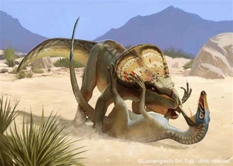 Velociraptor Vs Protoceratops By Akeiron On Deviantart