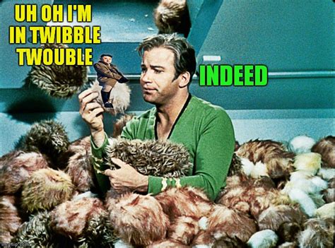 Tribbles Memes And S Imgflip
