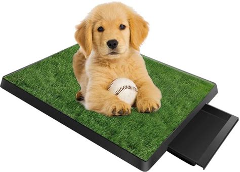 However, to maintain proper hygiene and prevent urine smell, you should rinse with water and remove any droppings. Artificial Grass for Dog Pee Indoor/Outdoor in 2020 | Dog potty, Dog pee, Potty training puppy