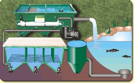 They remove waste, which then travels to the filter system where it is captured by a large pump basket, filter chamber or vortex filter. Q & A - Alternative Filter Installations | Aquaponics ...