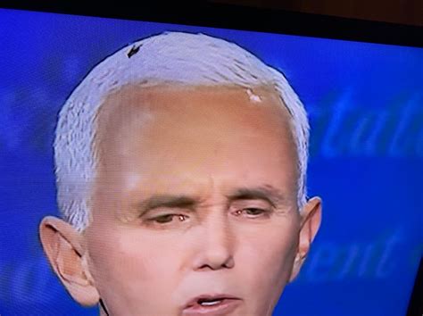 Photo Mike Pence Had A Fly On His Head During The Vp Debate