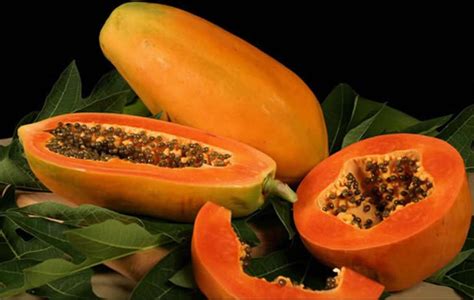 Buy Fresh Papaya From Al Ajm Trading Co Llc United Arab Emirates Id