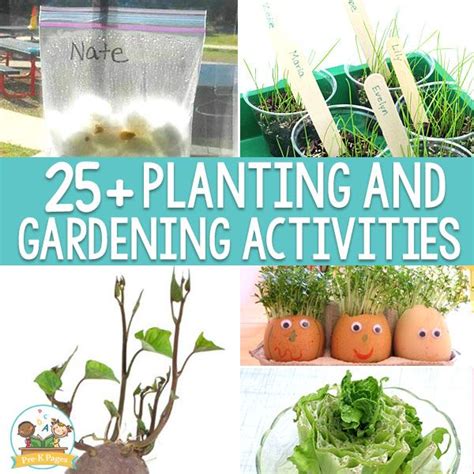 25 Planting And Gardening Activies For Preschoolers Gardening For