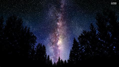 Milky Way Galaxy And The Andromeda Galaxy Wallpaper Forest With Stars