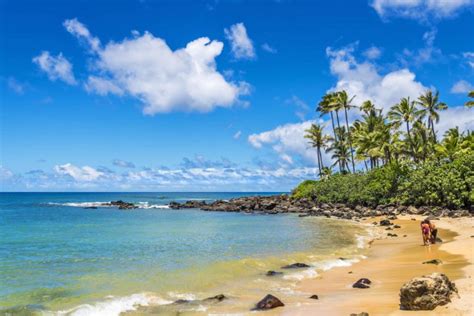 Laniakea Beach O Ahu Hawai I