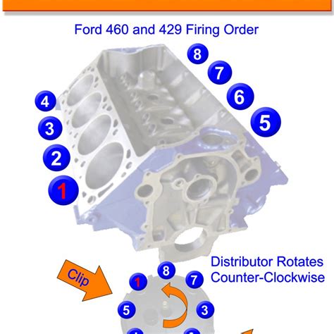 Msd Distributor Ford 302 Firing Order Wiring And Printable