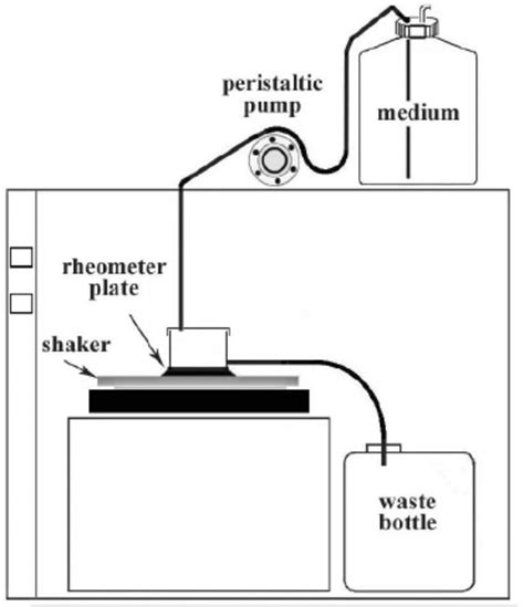 Flow System Apparatus Download Scientific Diagram