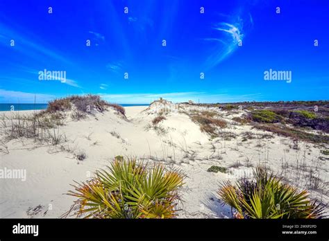 Oceanfront sandy oasis hi-res stock photography and images - Alamy