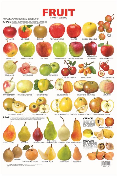 14 Fruit Chart 01 1999×2999 Eten Maken Pinterest Chart