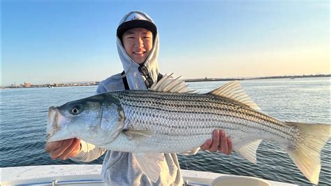 Catching Big Striped Bass In Boston Harbor Youtube