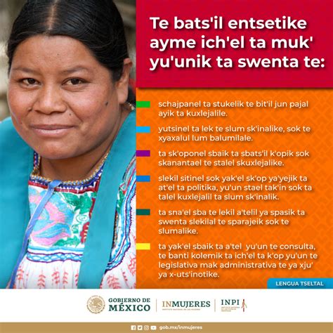 Infografías Derechos De Las Mujeres Indígenas Inmujeres Inpi Dili