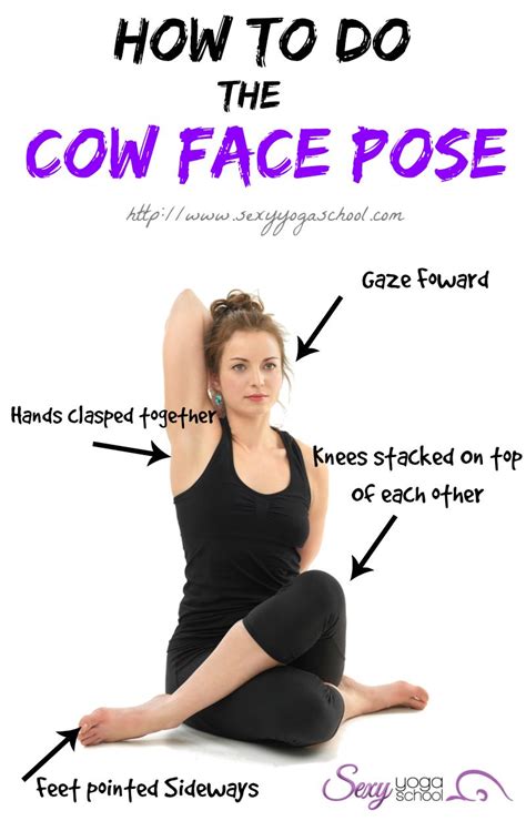 Yoga Poses Cow Face Cow Face Pose We Did Not Find Results For